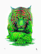 You Wouldn't Like Me When I'm Angry - Edition - SOLD OUT by artist Robert Oxley - Wyecliffe Galleries