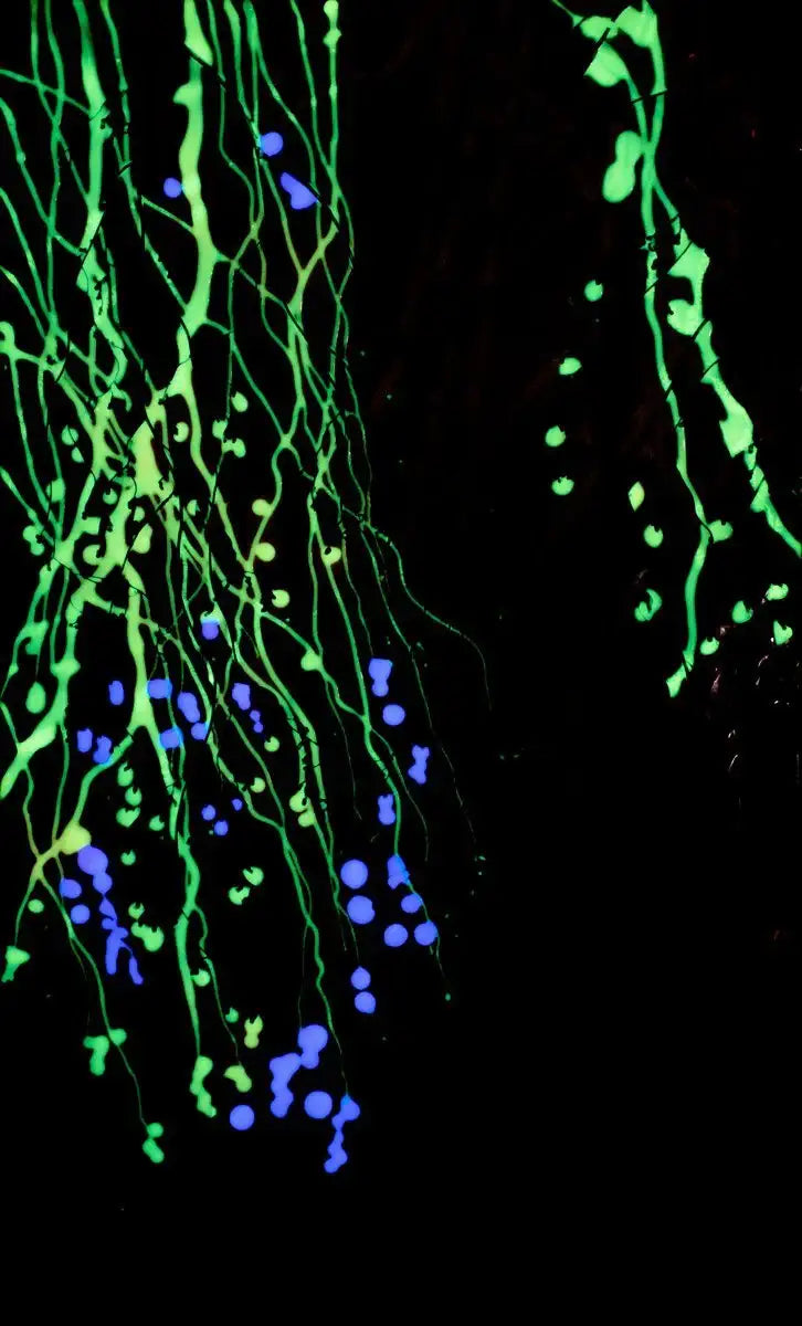 The First Signs of Spring I - Original - SOLD by artist Robin Eckardt - Wyecliffe Galleries