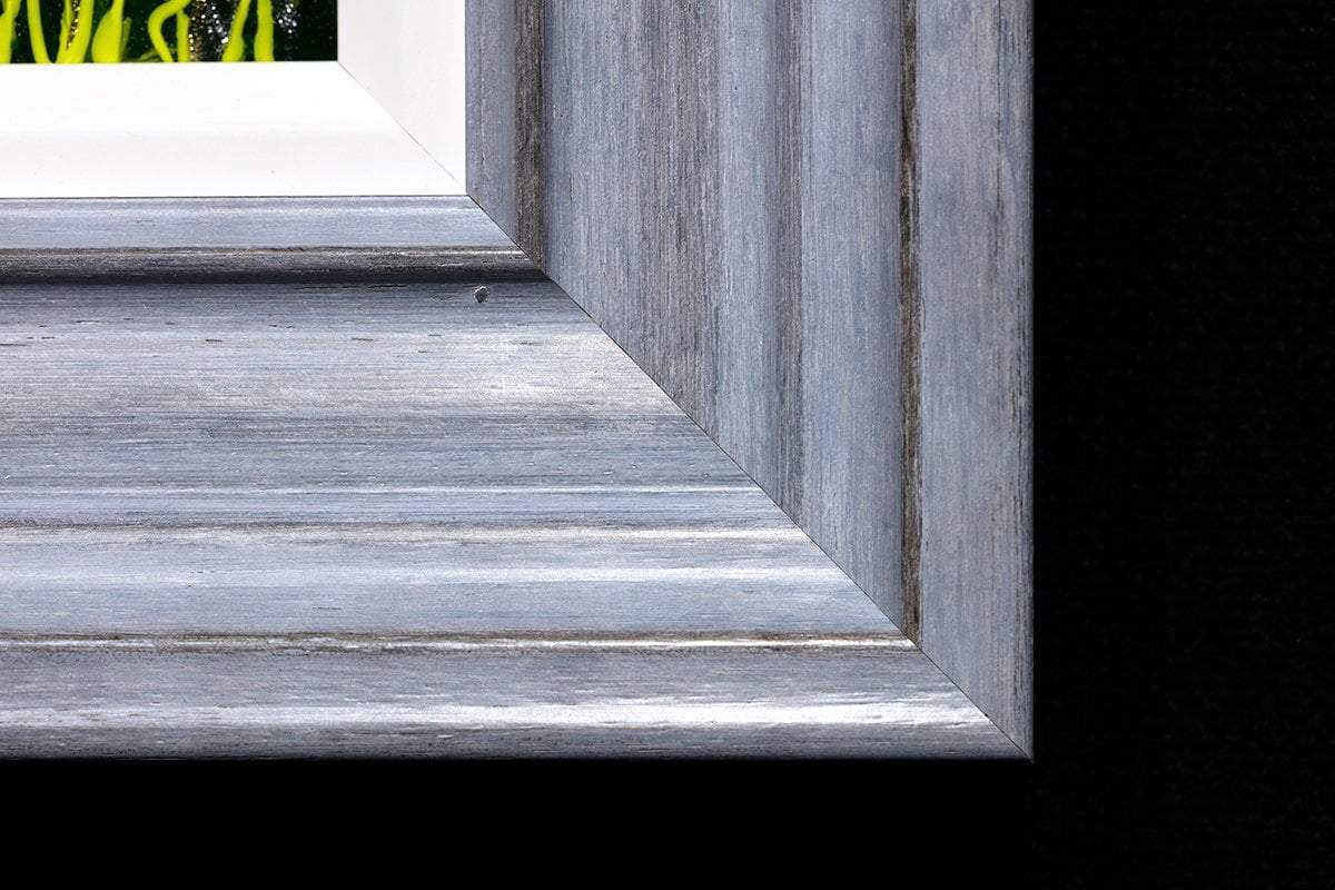 Bee Happy I - SOLD by artist Rozanne Bell - Wyecliffe Galleries