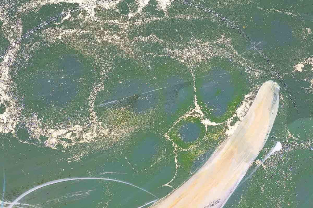 Bessie - Original - SOLD by artist Rozanne Bell - Wyecliffe Galleries