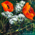 Blossoming Poppies - Original Rozanne Bell Original