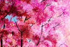 Cherry Blossom Walks - Original - SOLD by artist Rozanne Bell - Wyecliffe Galleries
