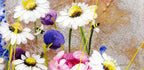 Flowers and Daisies - Original - SOLD by artist Rozanne Bell - Wyecliffe Galleries