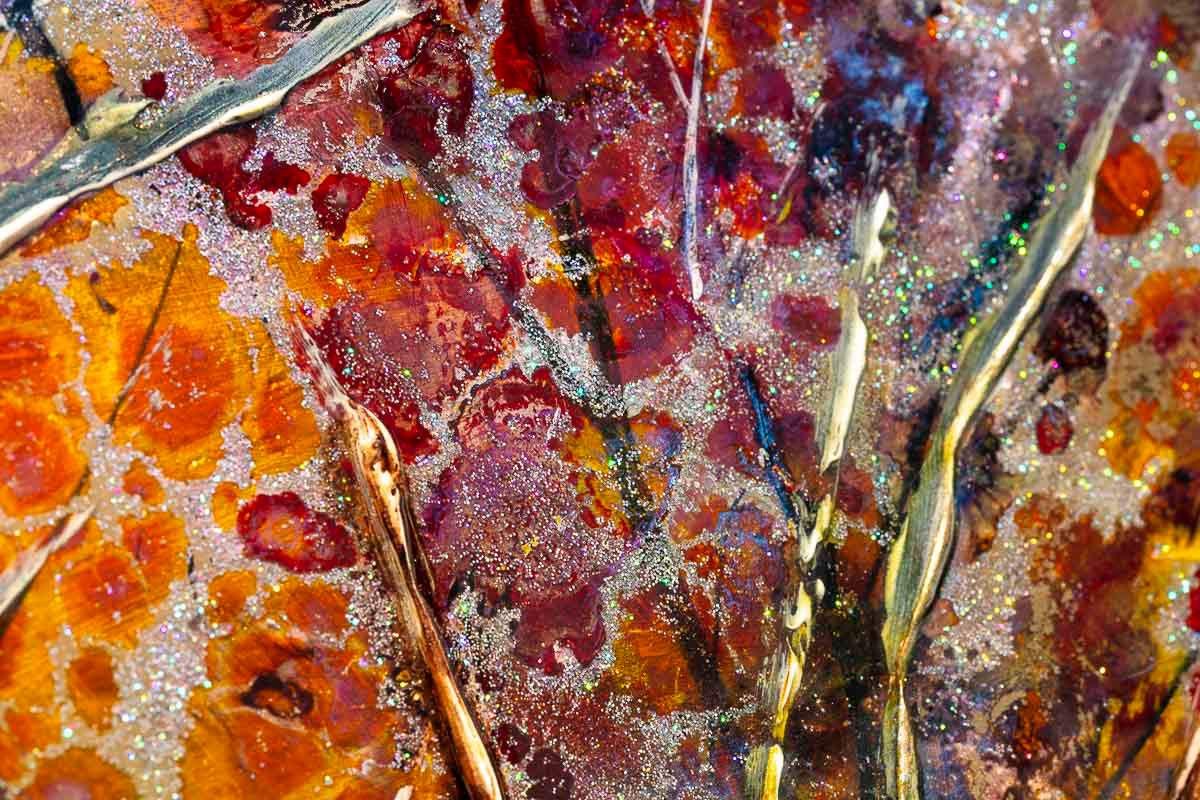 Into the Woods - Original - SOLD by artist Rozanne Bell - Wyecliffe Galleries