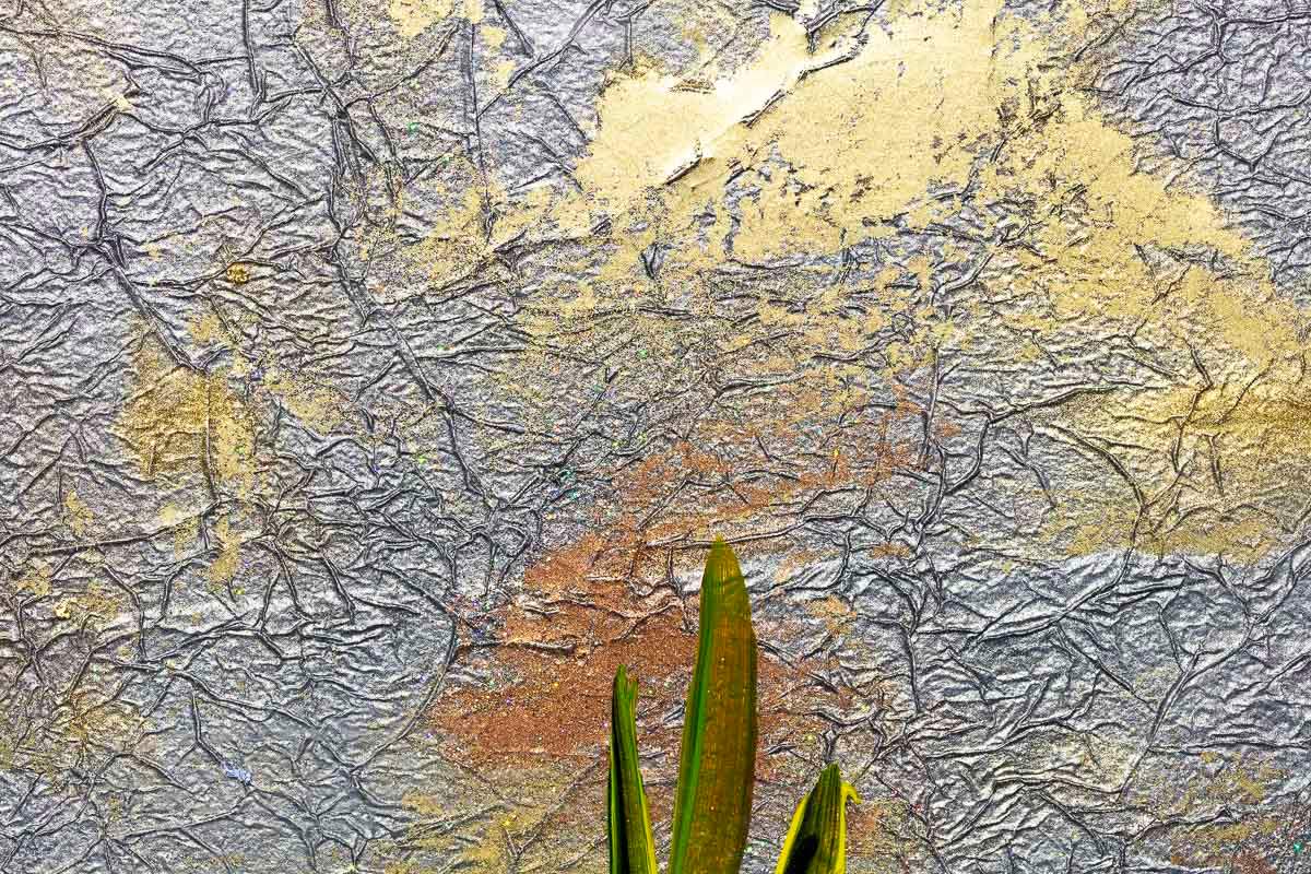 Lily pond - Original - SOLD by artist Rozanne Bell - Wyecliffe Galleries