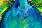 Peacock Pride - Original - SOLD by artist Rozanne Bell - Wyecliffe Galleries