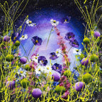 Moonlit Meadow - Original - SOLD by artist Rozanne Bell - Wyecliffe Galleries