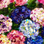 Multi Bloom - Original - SOLD by artist Rozanne Bell - Wyecliffe Galleries