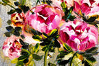 Pink Peonies - Original - SOLD by artist Rozanne Bell - Wyecliffe Galleries