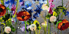 Poppy Panorama - Original - SOLD by artist Rozanne Bell - Wyecliffe Galleries