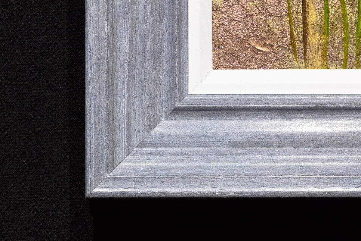 Poppy Patch - SOLD by artist Rozanne Bell - Wyecliffe Galleries