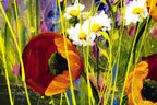 Poppy Pathway - Original - SOLD by artist Rozanne Bell - Wyecliffe Galleries