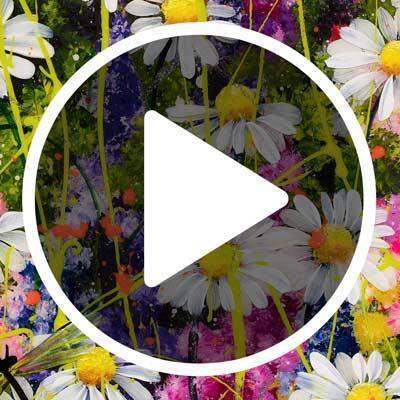 Primrose Meadow - SOLD by artist Rozanne Bell - Wyecliffe Galleries