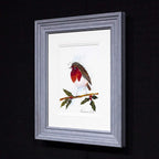 Reggie - Original - SOLD by artist Rozanne Bell - Wyecliffe Galleries