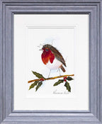 Reggie - Original - SOLD by artist Rozanne Bell - Wyecliffe Galleries