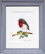 Ruby - Original - SOLD by artist Rozanne Bell - Wyecliffe Galleries