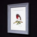 Ruby - Original - SOLD by artist Rozanne Bell - Wyecliffe Galleries