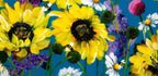 Sunflowers - Original - SOLD by artist Rozanne Bell - Wyecliffe Galleries