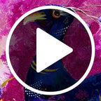 The Royal Approach - Original - SOLD by artist Rozanne Bell - Wyecliffe Galleries