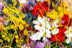 Wildflower Pastures - Original SOLD by artist Rozanne Bell - Wyecliffe Galleries