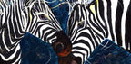 Zebras - Original - SOLD by artist Rozanne Bell - Wyecliffe Galleries