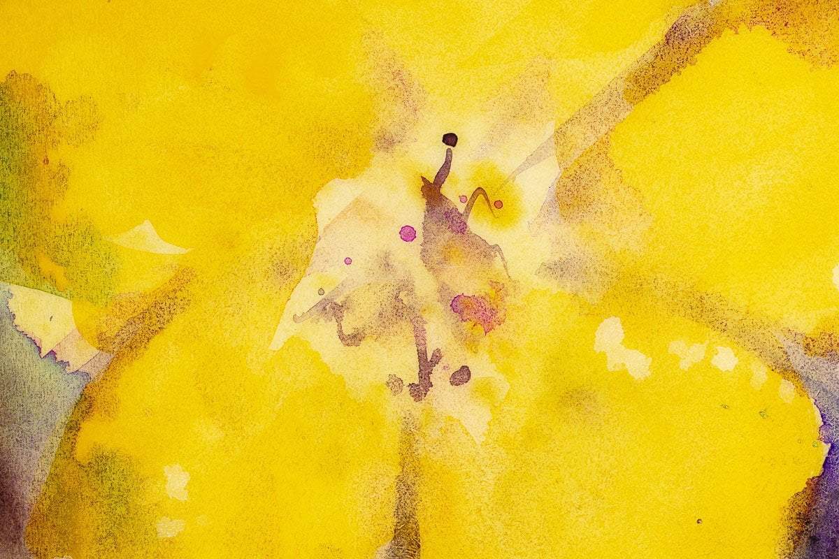 Golden Bloom - Original Ruby Keller Framed