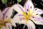 White Lilies I - SOLD by artist Ruby Keller - Wyecliffe Galleries