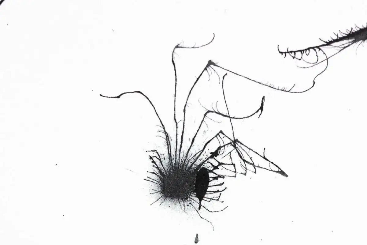 Celebrating Her Majesty - Edition by artist Scott Tetlow - Wyecliffe Galleries