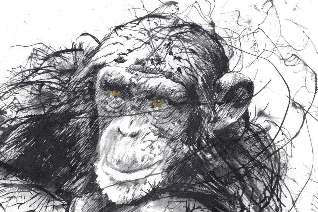 Chimps and Gravy - Edition by artist Scott Tetlow - Wyecliffe Galleries