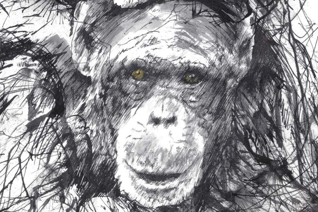 Chimps and Gravy - Edition by artist Scott Tetlow - Wyecliffe Galleries