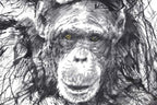 Chimps and Gravy - Edition by artist Scott Tetlow - Wyecliffe Galleries