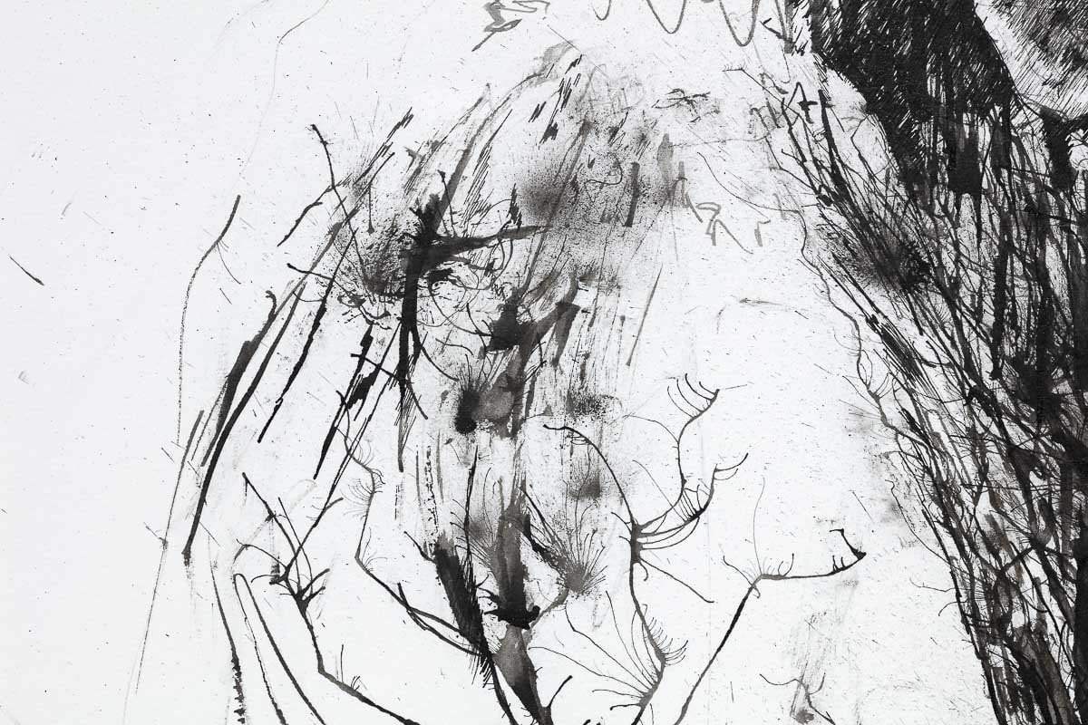 Jungle Dreams - Original by artist Scott Tetlow - Wyecliffe Galleries