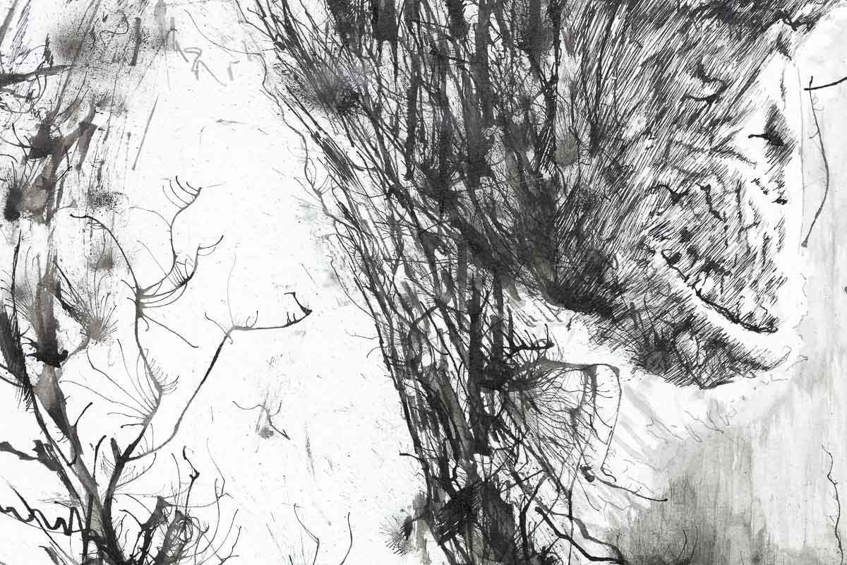 Jungle Dreams - Original by artist Scott Tetlow - Wyecliffe Galleries