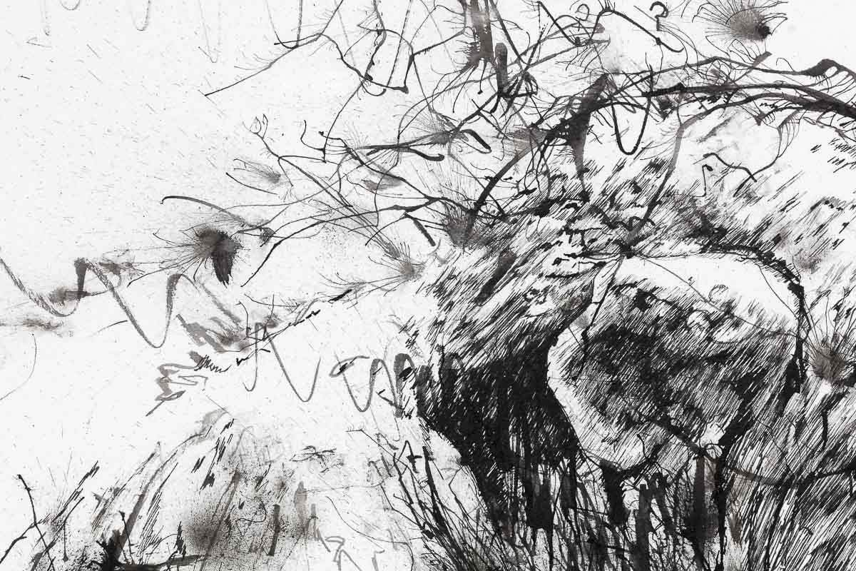 Jungle Dreams - Original by artist Scott Tetlow - Wyecliffe Galleries