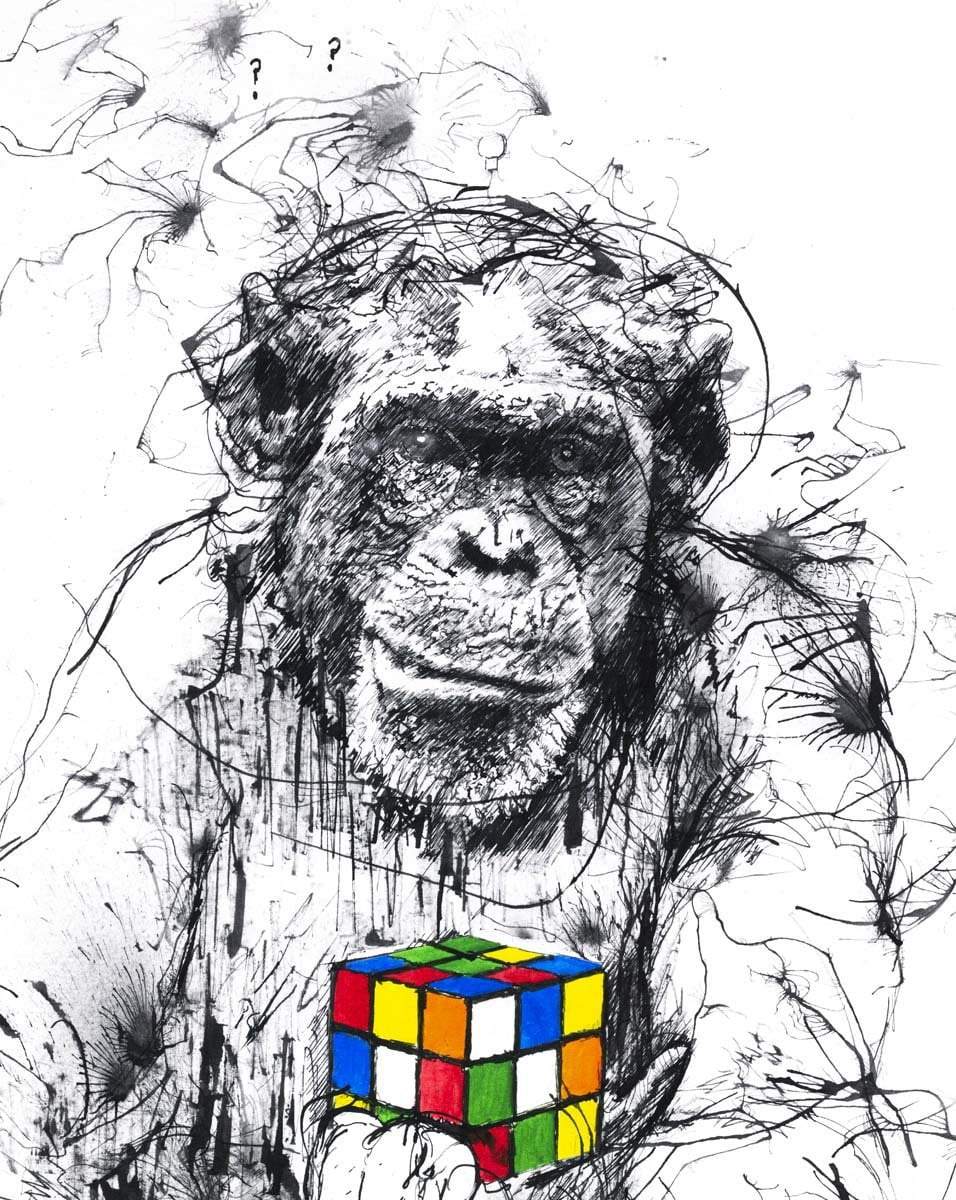Puzzled - Edition Scott Tetlow Artist Proof 3