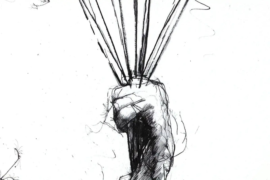 Why Walk When You Can Fly - Edition by artist Scott Tetlow - Wyecliffe Galleries