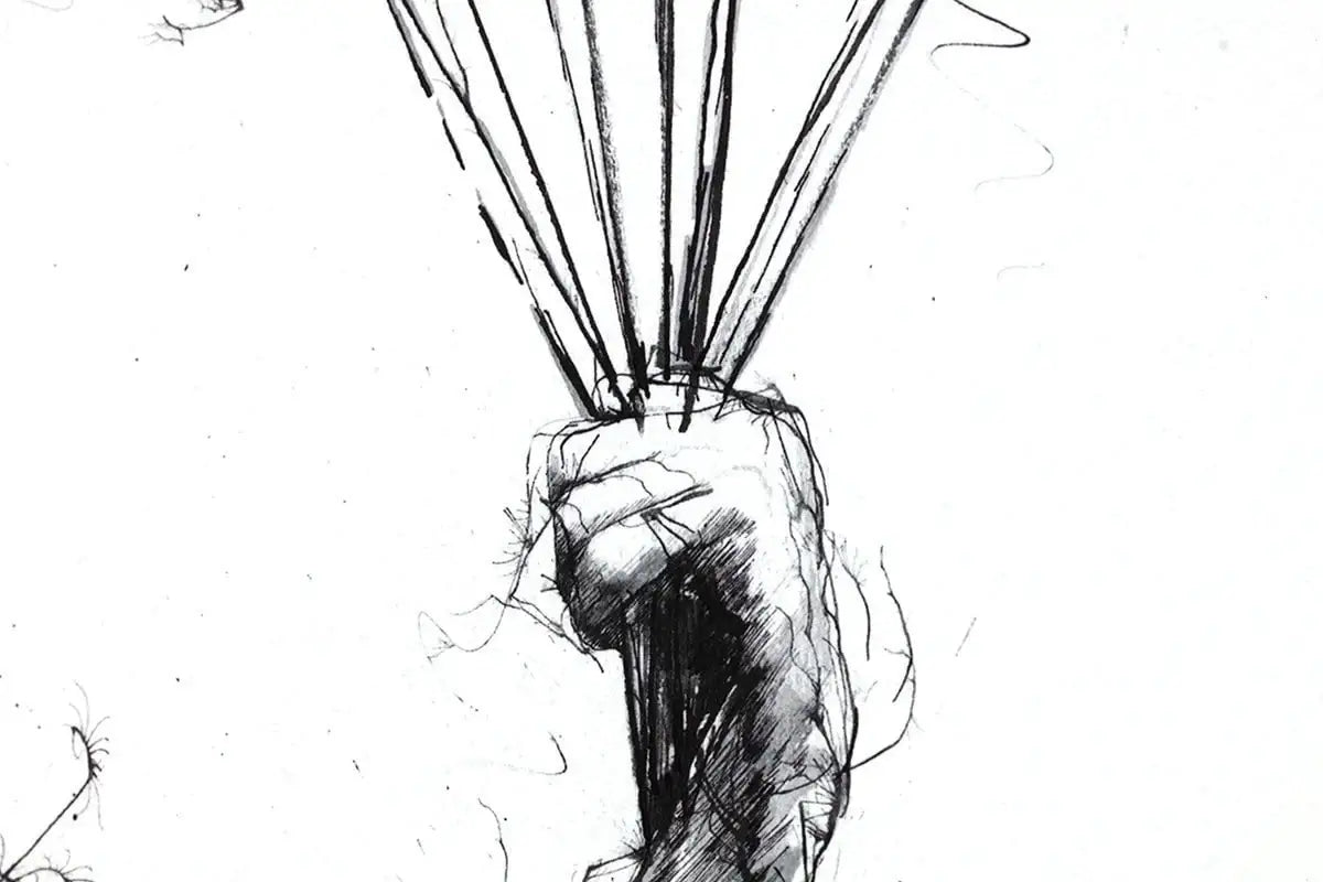 Why Walk When You Can Fly - Edition by artist Scott Tetlow - Wyecliffe Galleries