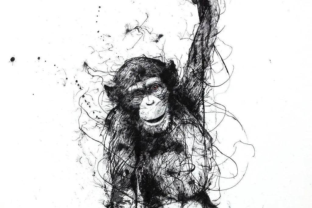 Why Walk When You Can Fly - Edition by artist Scott Tetlow - Wyecliffe Galleries