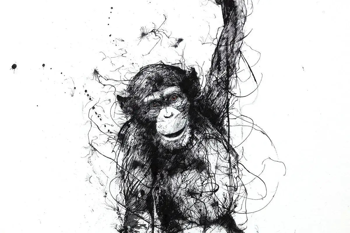 Why Walk When You Can Fly - Edition by artist Scott Tetlow - Wyecliffe Galleries