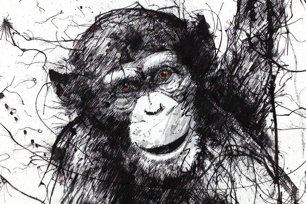 Why Walk When You Can Fly - Edition by artist Scott Tetlow - Wyecliffe Galleries