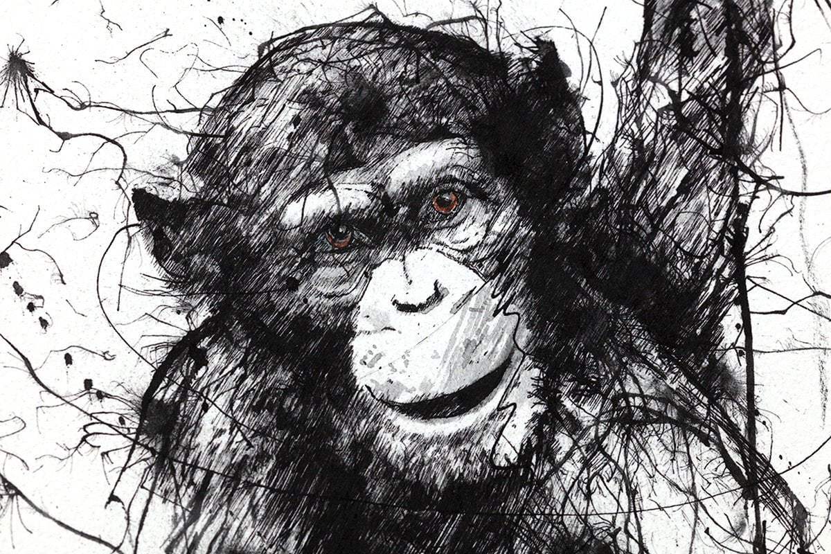 Why Walk When You Can Fly - Edition by artist Scott Tetlow - Wyecliffe Galleries