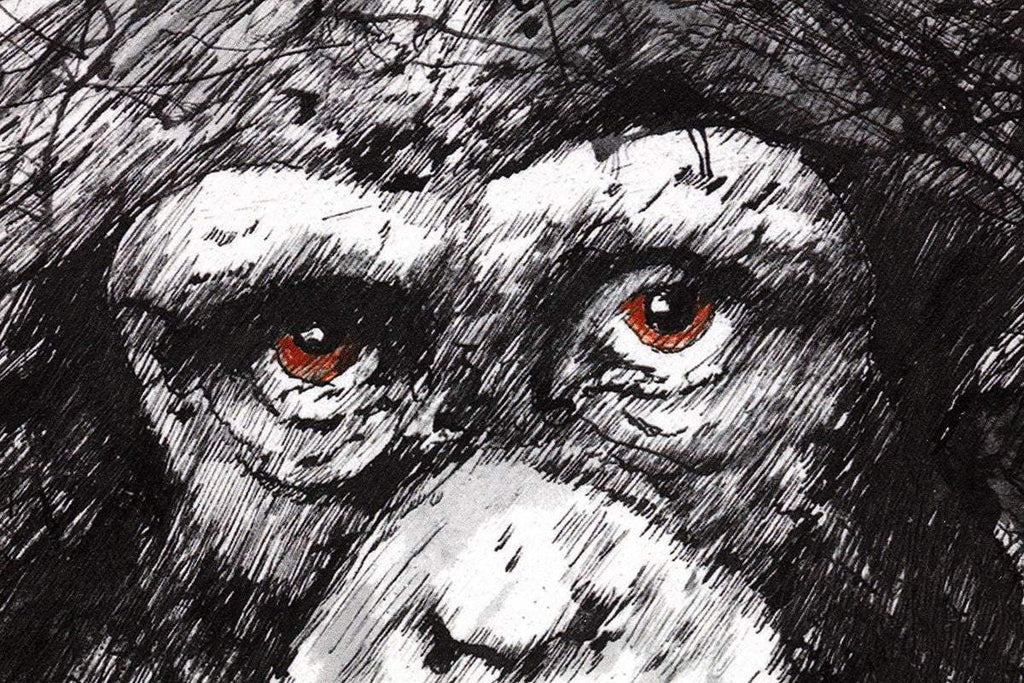 You Looking At Me? - Edition by artist Scott Tetlow - Wyecliffe Galleries