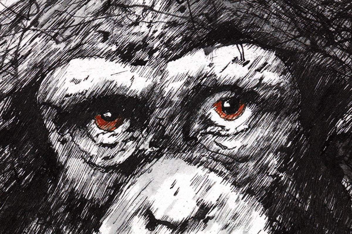 You Looking At Me? - Edition by artist Scott Tetlow - Wyecliffe Galleries