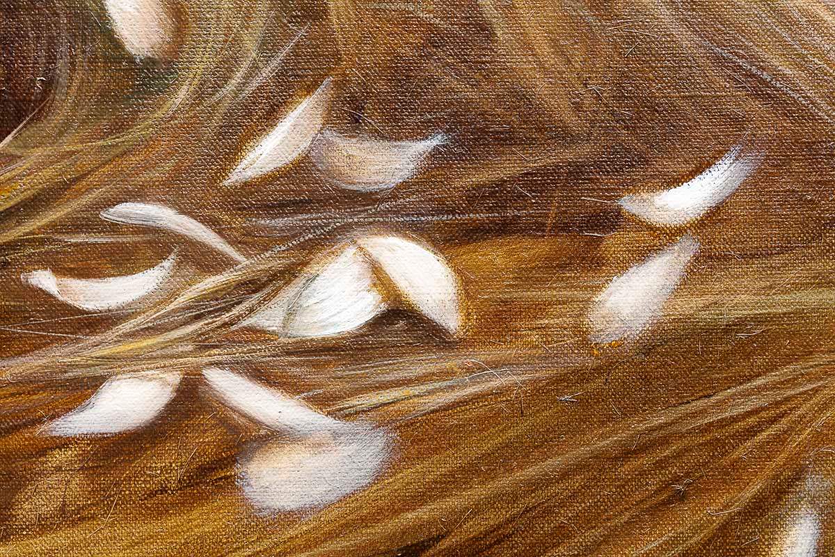 Vida - Original - SOLD by artist Shazia - Wyecliffe Galleries