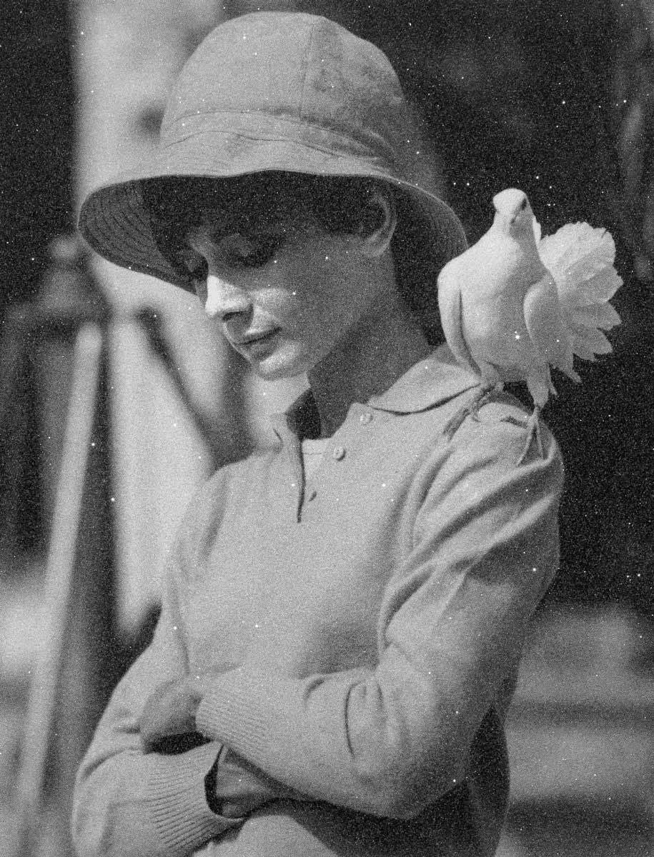 Hepburn with Dove - Edition - SOLD OUT by artist Simon Claridge - Wyecliffe Galleries