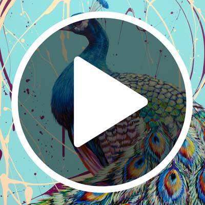 Admiral - Original - SOLD by artist Simon Wright - Wyecliffe Galleries