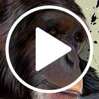 Marlo - Original - SOLD by artist Simon Wright - Wyecliffe Galleries