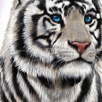 Panthera - Original - SOLD by artist Simon Wright - Wyecliffe Galleries