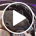 Polo - Original - SOLD by artist Simon Wright - Wyecliffe Galleries