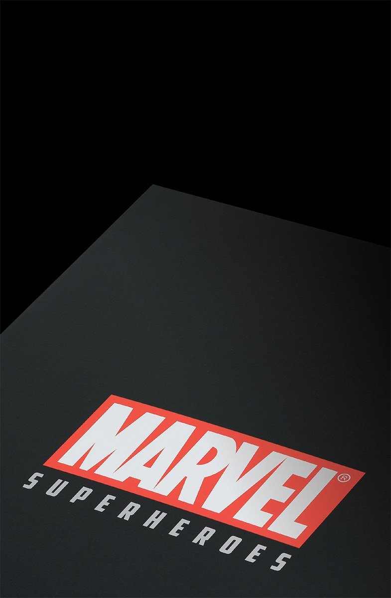 Marvel Superheroes - 2018 Set Of 6 Stan Lee